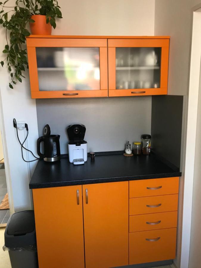 Ústí nad Orlicí Apartment Corriger מראה חיצוני תמונה